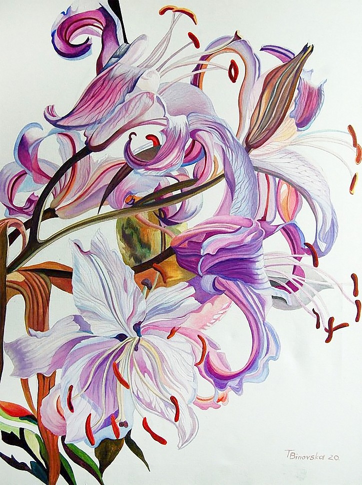 лилия лилия линия линии цветок цветы рисунок Биновская татьяна lily line flower flowers drawing Binovskaya Tatiana