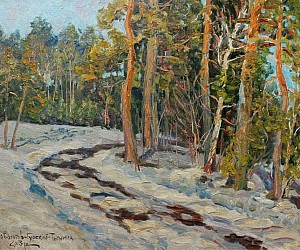 Художник Словохотов В.П. Весна в Клавдиево около Киева, Первые проталины среди сосен, 2013. Размер 35 см х 25 см, картон