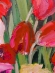 Painting Tulips, artist Nina Lytvyn