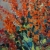 Painting Bright Christmas, artist Nina Lytvyn