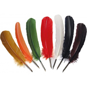 Ручка из пера Quill Pen цвет в ассортименте Manuscript