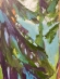 Painting Verkhovyna, artist Nina Lytvyn