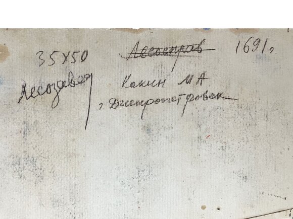 Painting Lesozavod, artist Kokin Mikhail