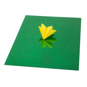 Картон для дизайна Зеркальный Зеленый/белый 25х35 см 280г/м2