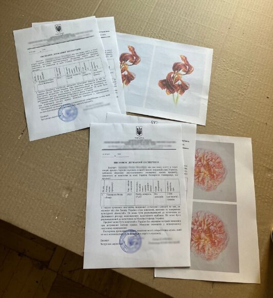 Консультація в сфері мистецтва Консультація в сфері мистецтва