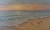 Painting Seagull on the Shore, artist Tetiana Matviiuk