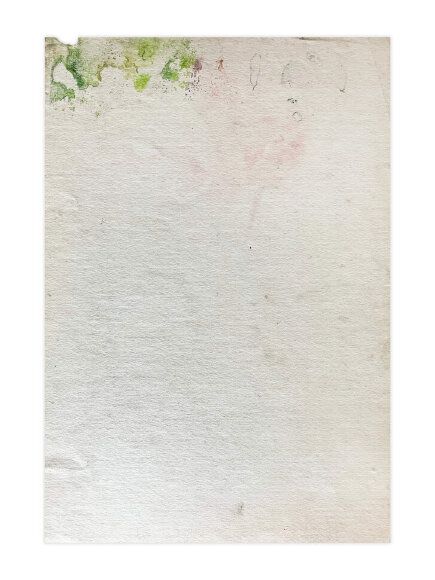 Акварель Сирень, художник Кокин Михаил Акварель Сирень, художник Кокин Михаил