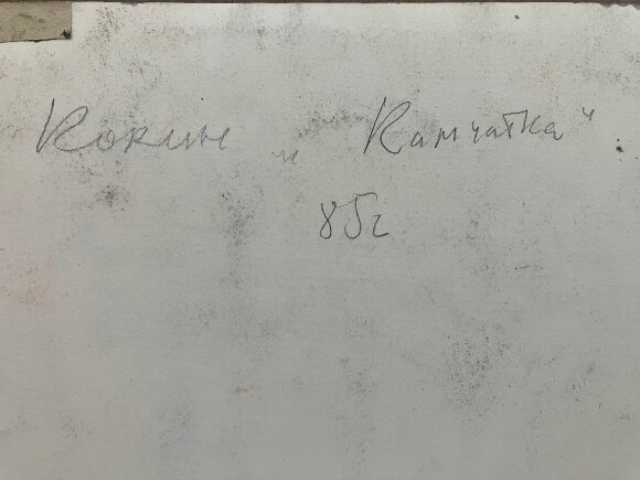 Пастель Камчатка, художник Кокін Михайло Пастель Камчатка, художник Кокін Михайло