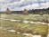 Painting Summer landscape, artist Turansky Alexander