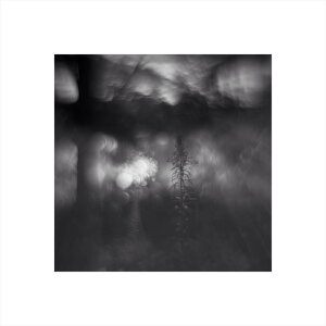 Photo painting Dialogue 1, artist Romanov Pavel Photo painting Dialogue 1, artist Romanov Pavel