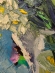 Painting Daisies 6, artist Nina Lytvyn