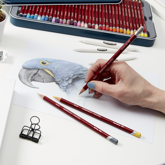 Пастельні олівці Pastel 12кол Derwent