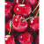 Картина по номерам "Натюрморт. Вишни" 35×45см ROSA START