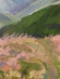 Painting Verkhovyna, artist Nina Lytvyn