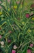 Painting Grass, artist Nina Lytvyn