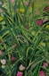 Painting Grass, artist Nina Lytvyn
