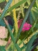 Painting Grass, artist Nina Lytvyn