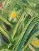 Painting Grass, artist Nina Lytvyn