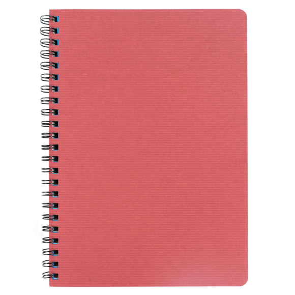 Декоративный блокнот на спирали А4, 96л, с закладками, SMILTAINIS