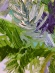 Painting Spruce, artist Nina Lytvyn