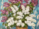 Painting Lilacs, artist Kokin Mikhail