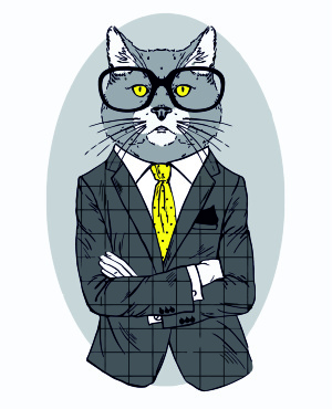 Картина по номерам Fashion Cat 35×45см ROSA START