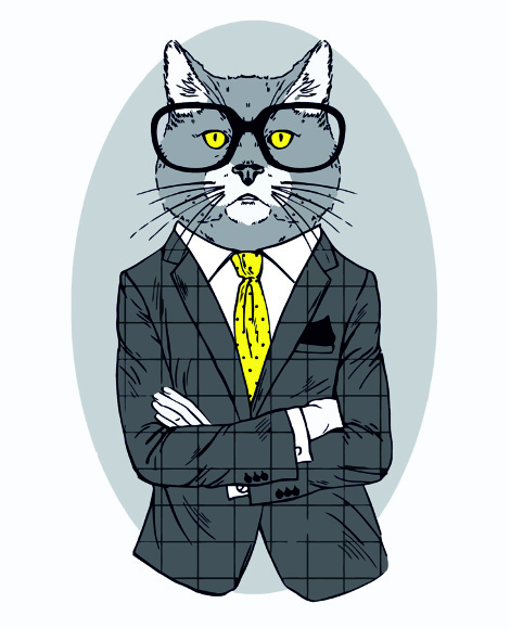 Картина по номерам Fashion Cat 35×45см ROSA START