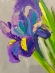 Painting Iris, artist Nina Nina Lytvyn