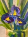 Painting Iris, artist Nina Nina Lytvyn